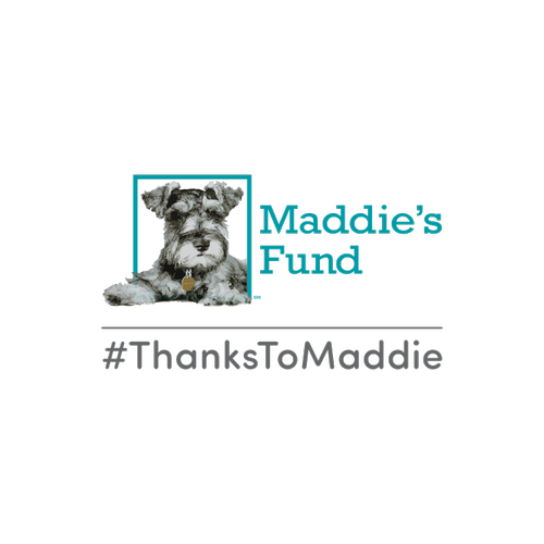 Partner Maddies