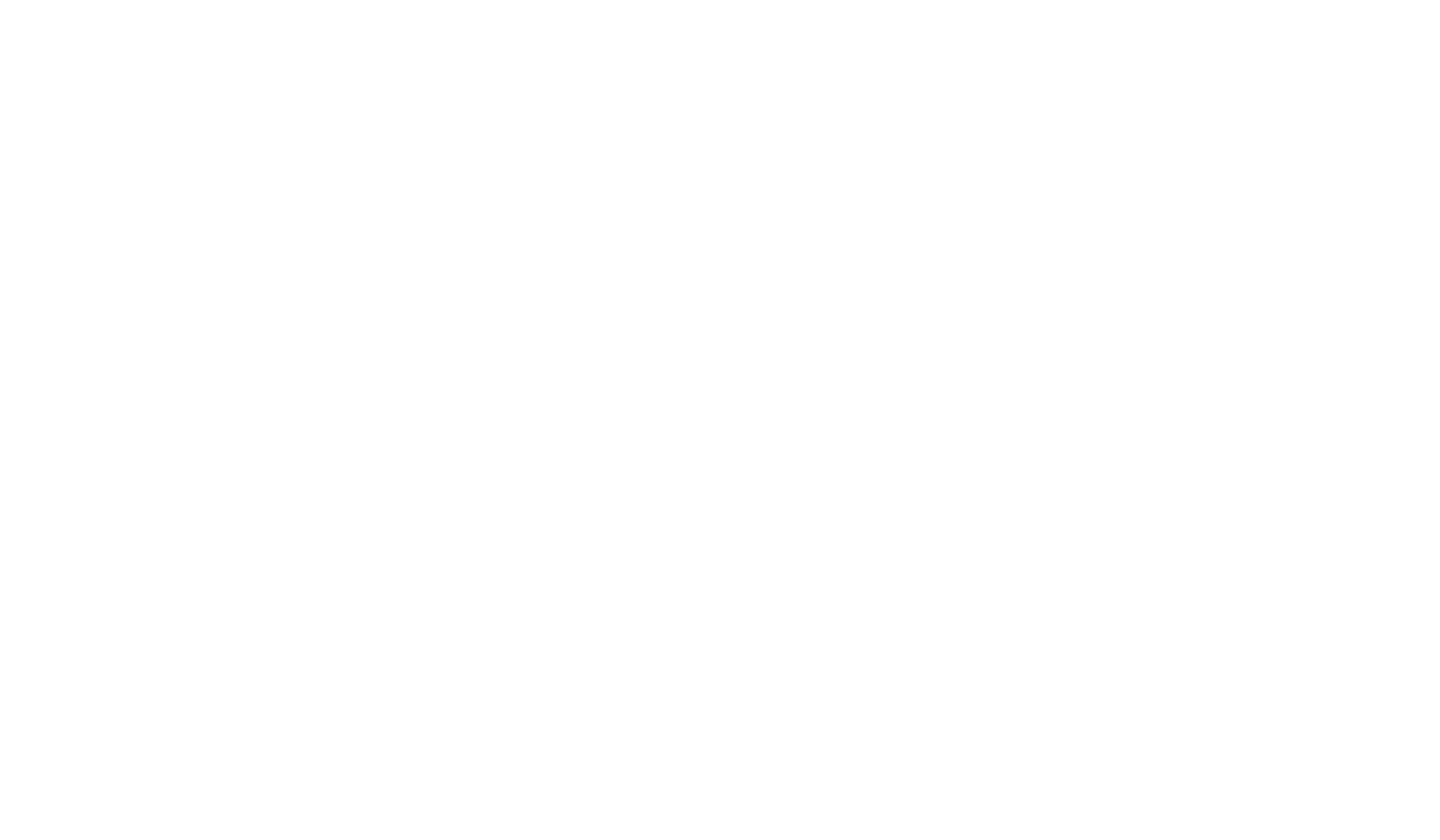 aPetsInNeed Logo RGB White