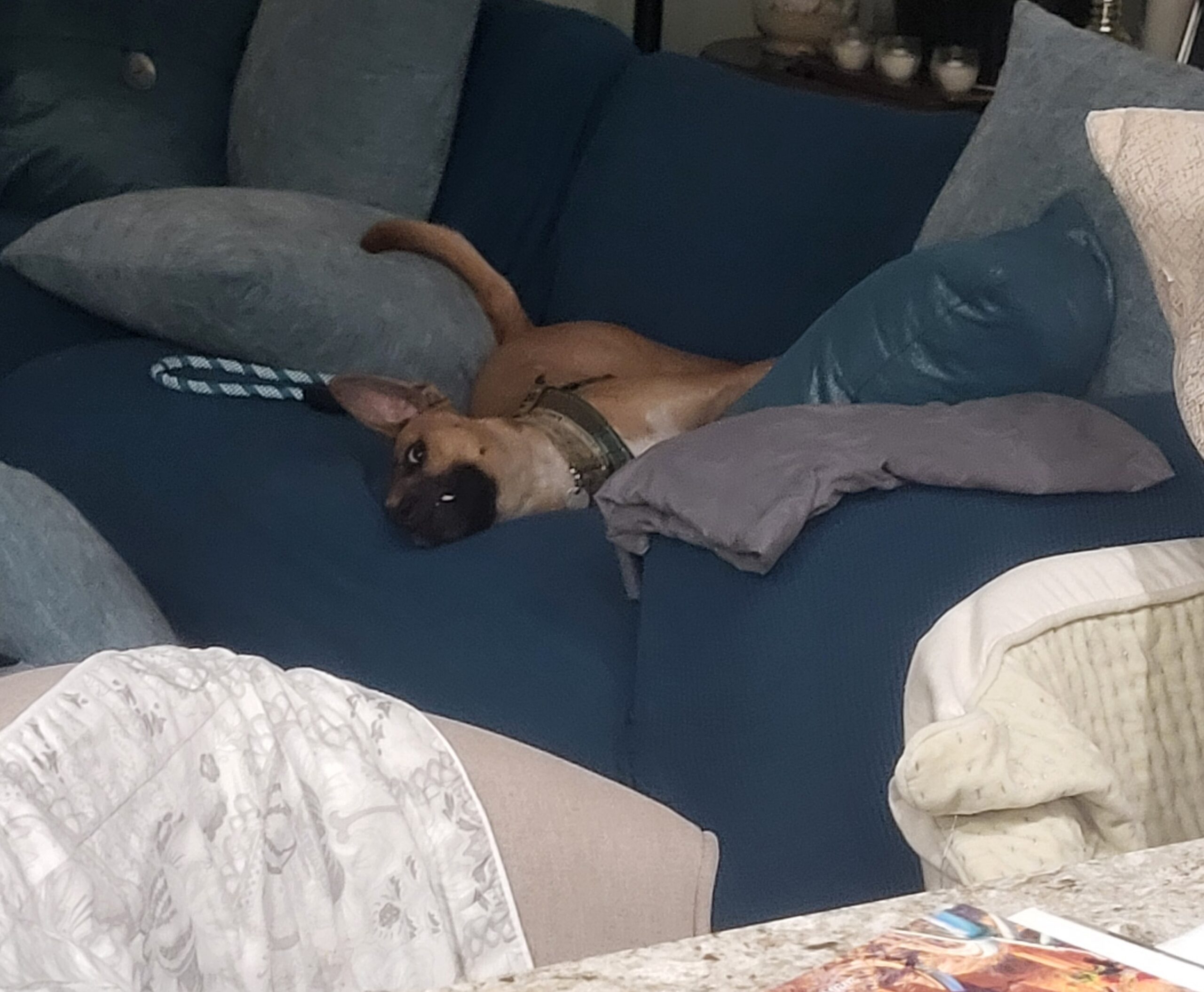 20260918_204336