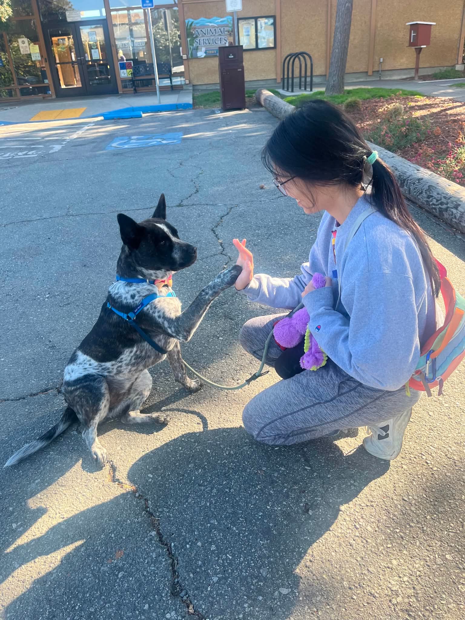 High Paws for Health!