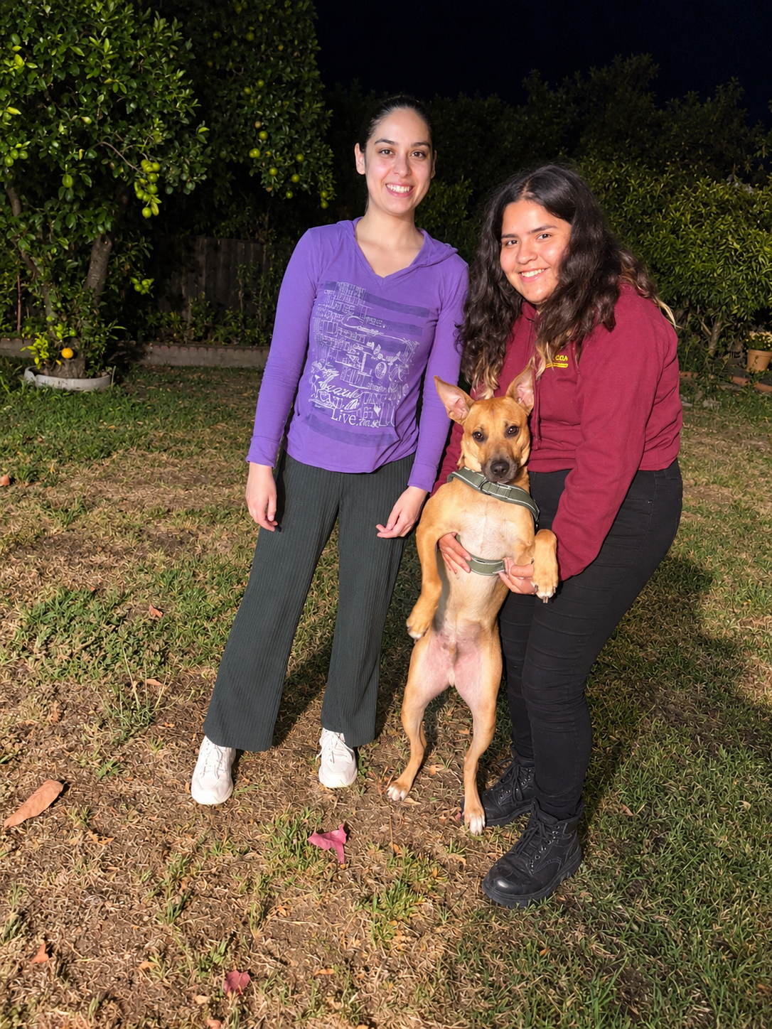 Flashlit Backyard Trio with Dog