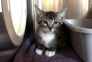 IMG 2753