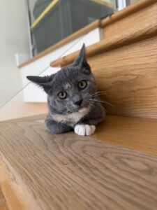 IMG 7571