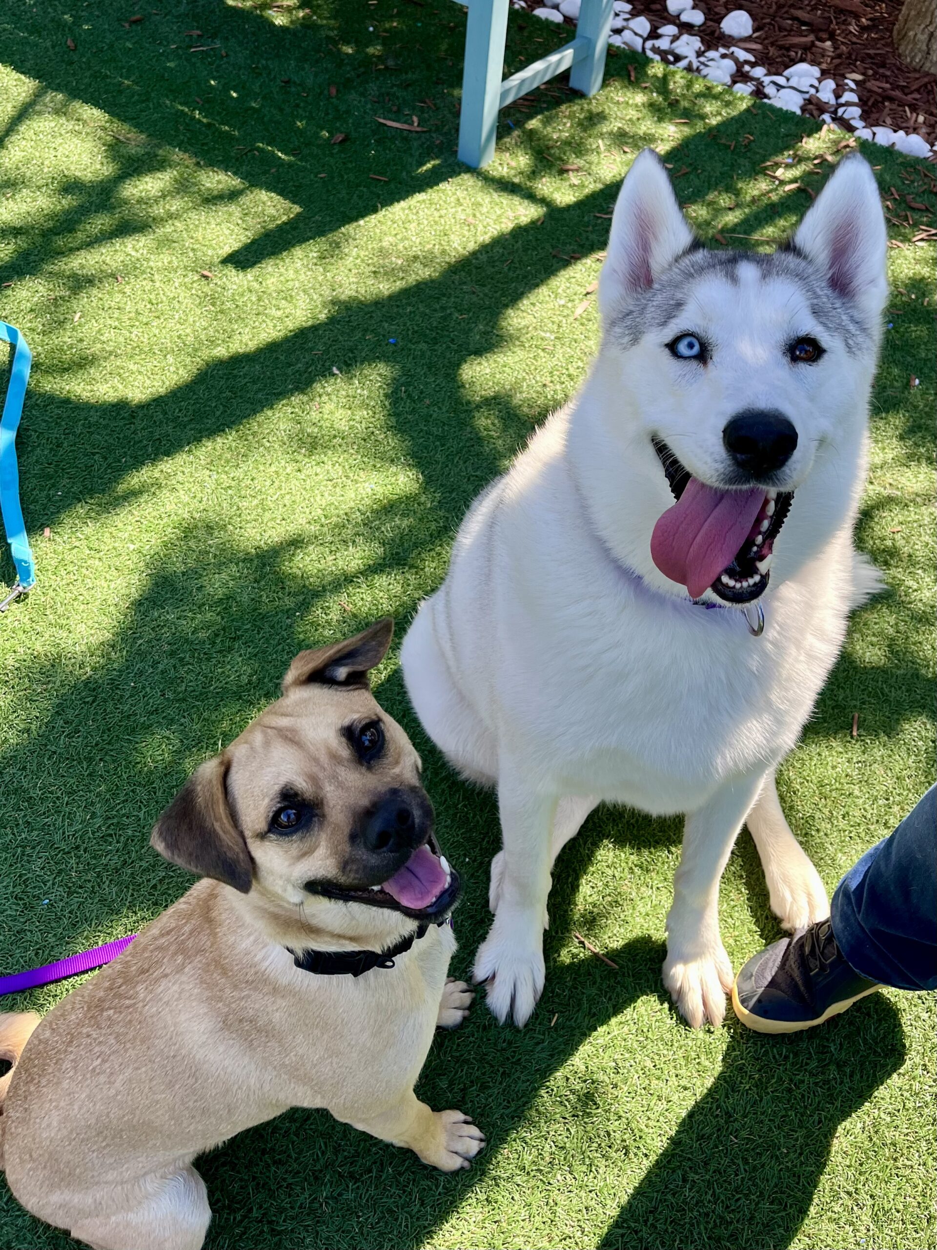 Reilly and Coconut