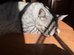 Tai Lung