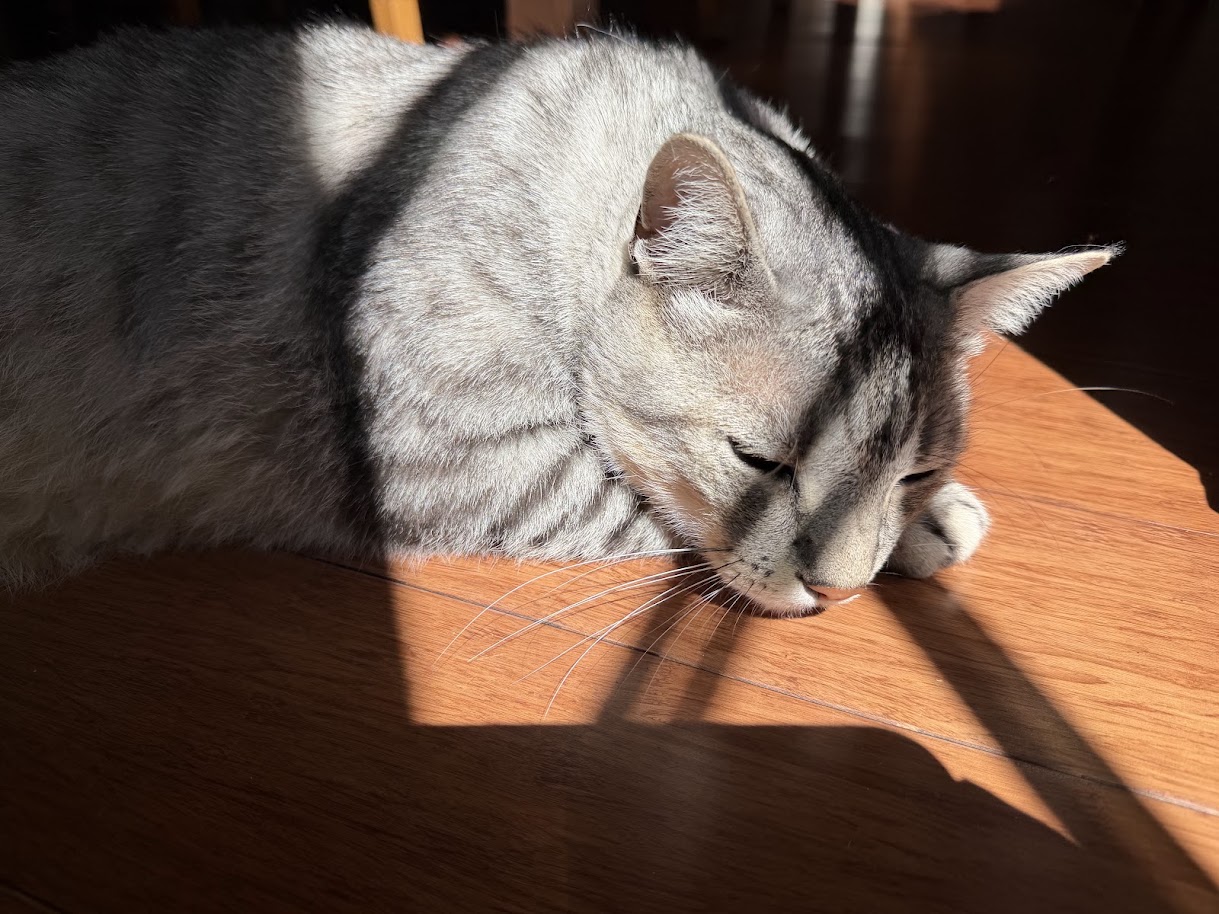 Tai Lung
