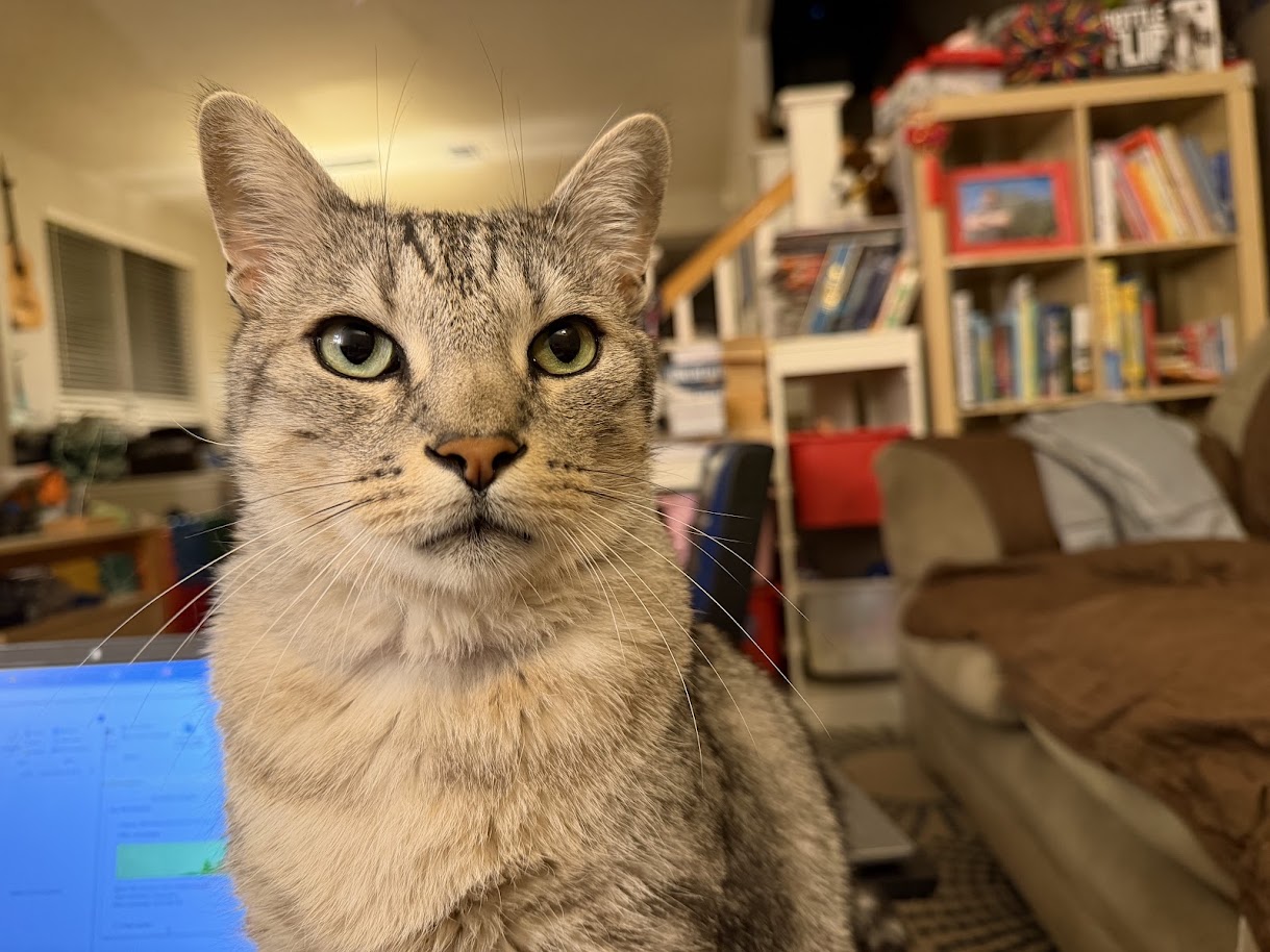 Tai Lung 2