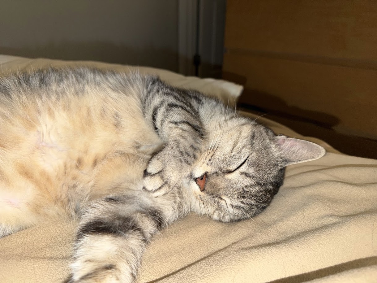 Tai Lung 3