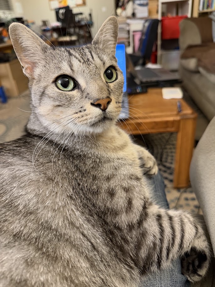Tai Lung 4