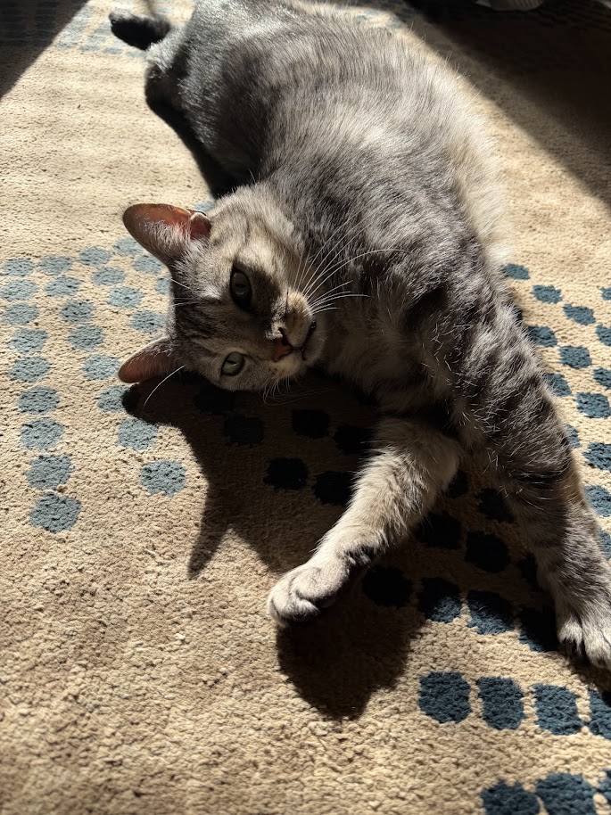 Tai Lung 5