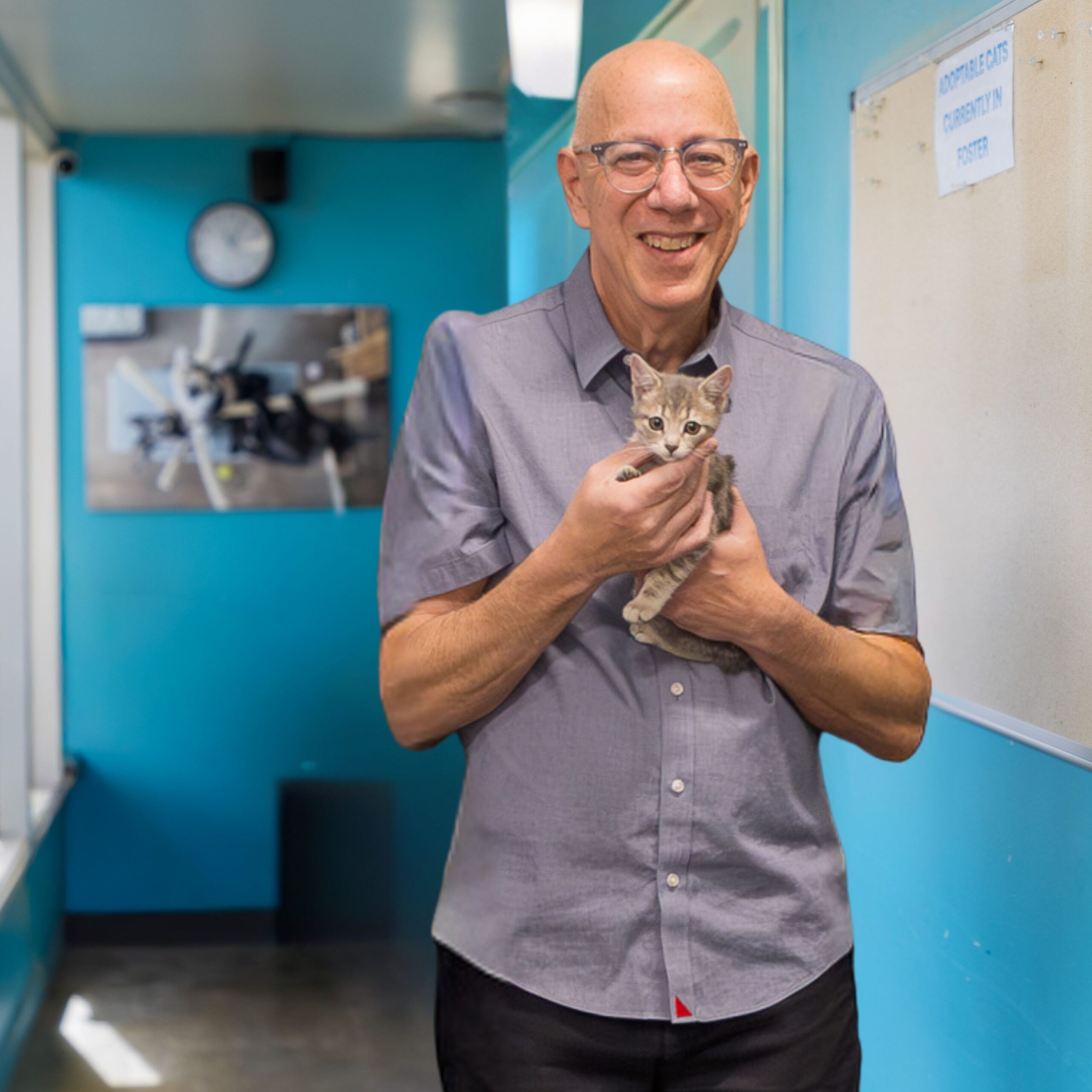 Barry Cheskin, Pets In Need Board Chair