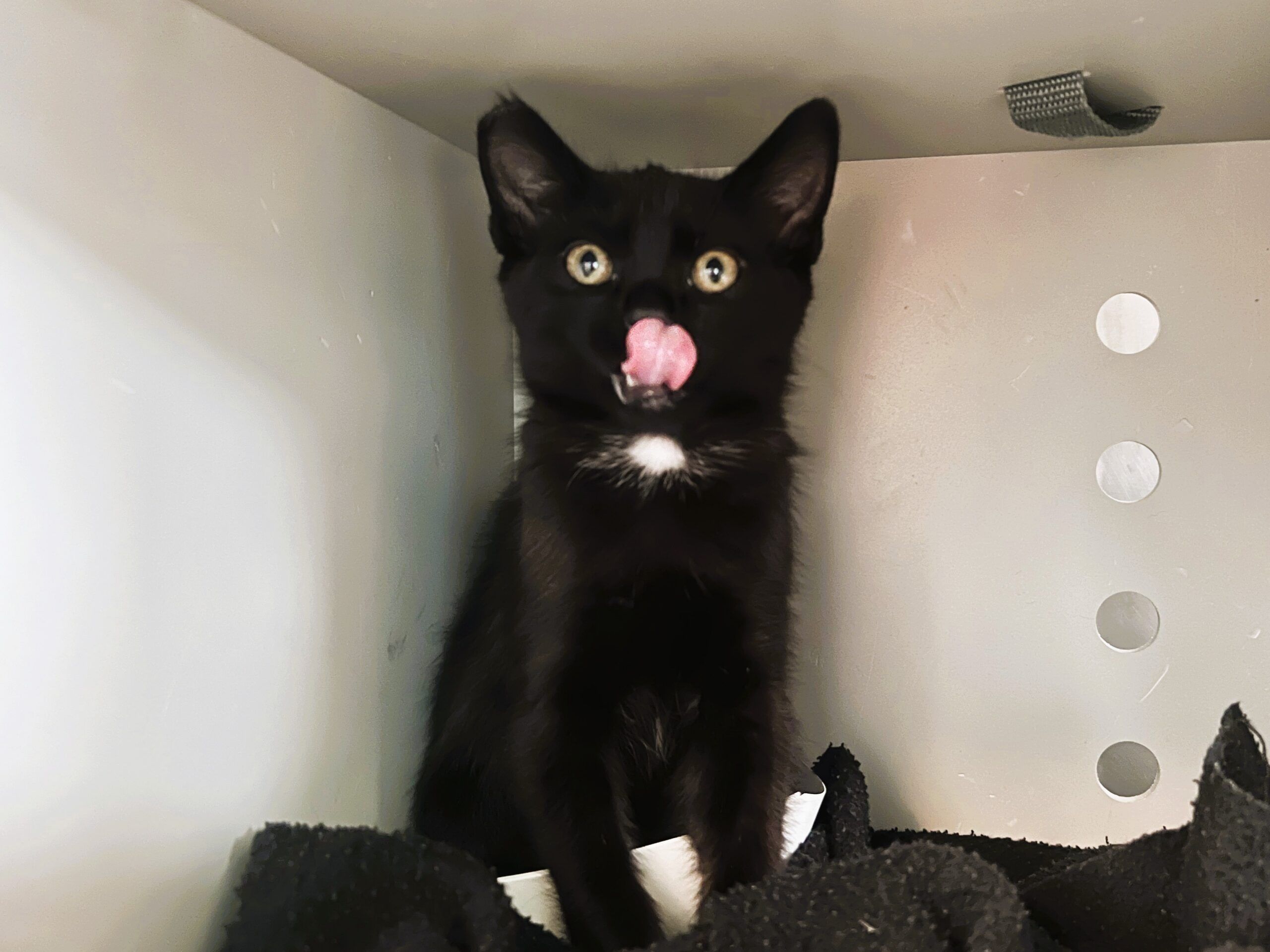 salem3
