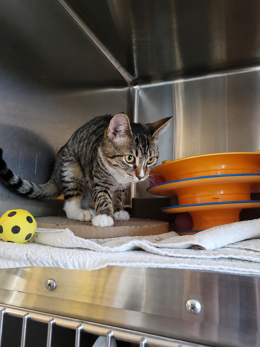 ChatGPT Image Aug 28, 2026, 02_57_57 PM