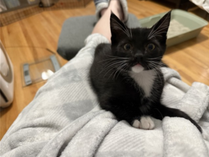 Chili