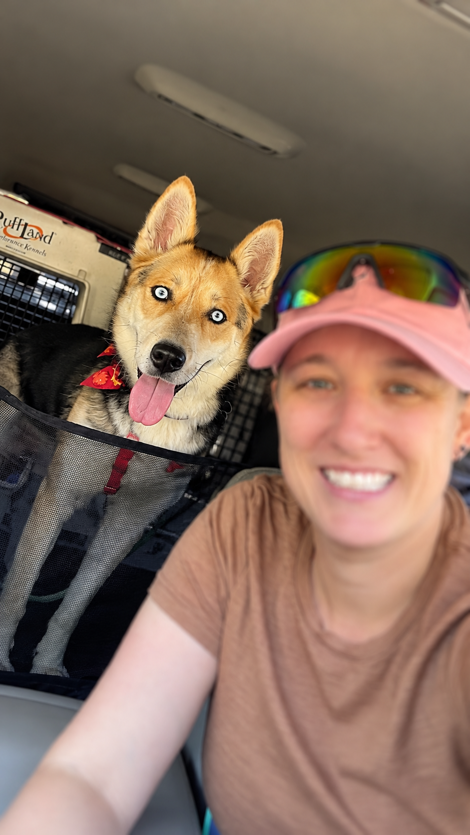 Happy Husky Road Trip Selfie