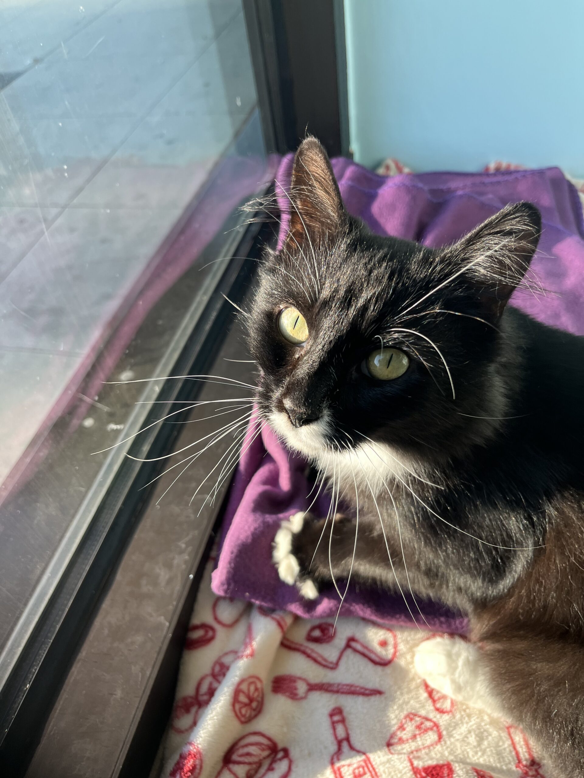 IMG_1414