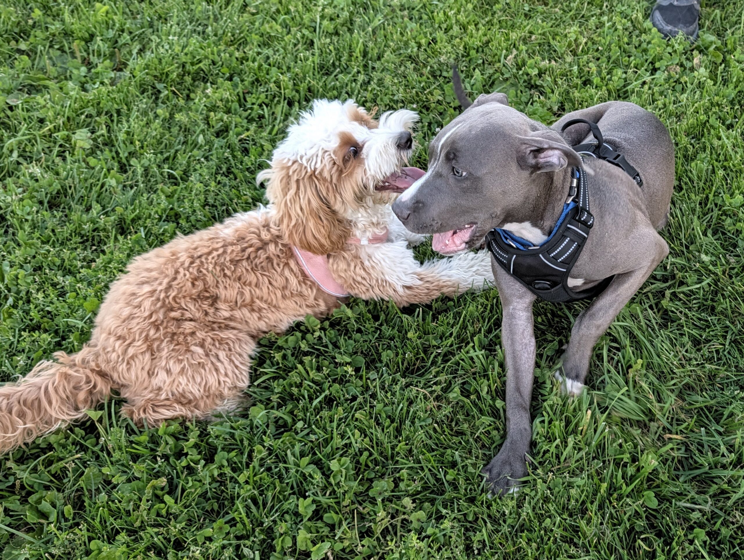 Stormy4