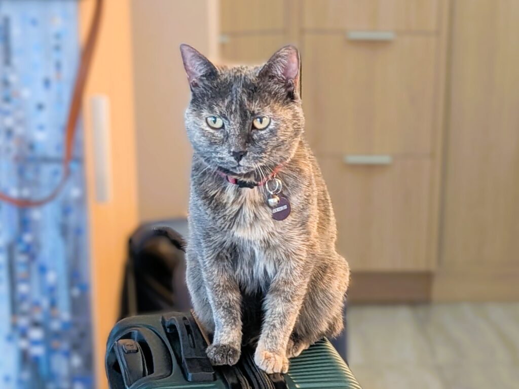 tika1