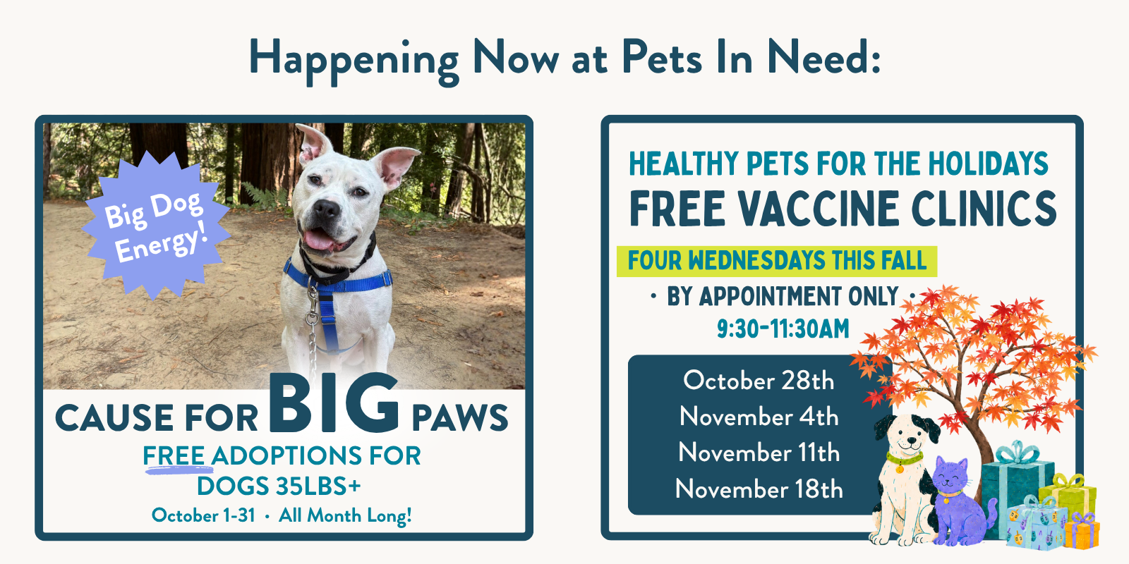 Pets In Need Cause for BIG Paws 2026 and Healthy Pets for the Holidays campaign