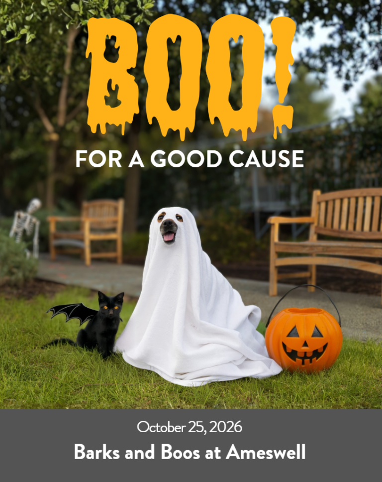 Barks and Boos October 25