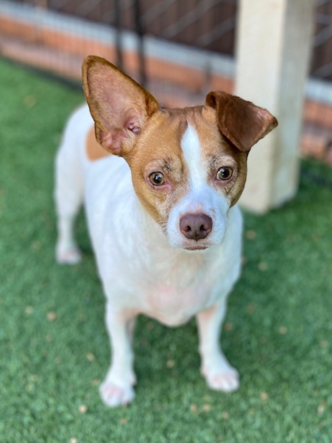 radar